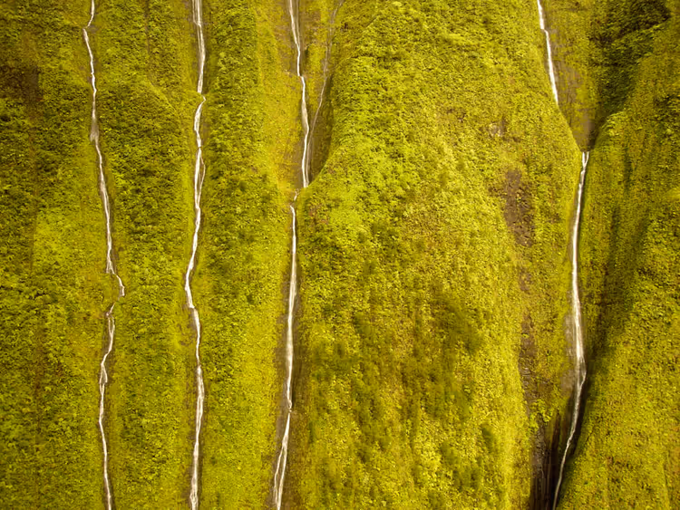 Sheer green slope with many waterfalls