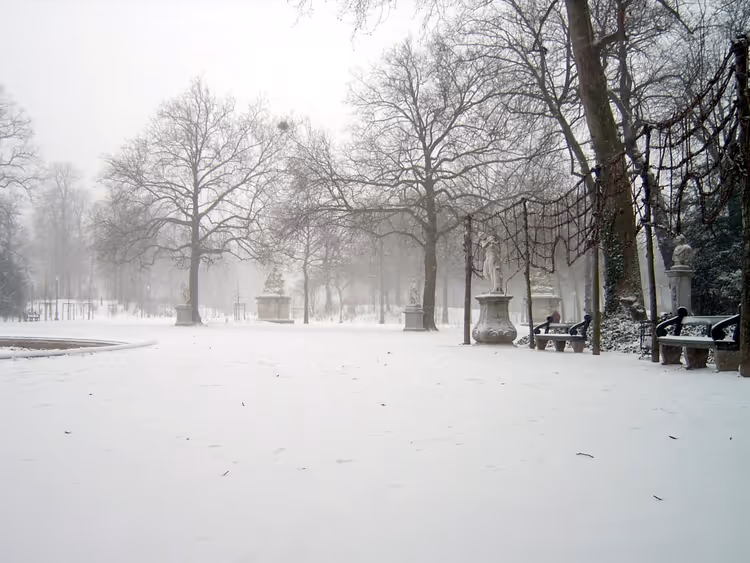 Besneeuwd Brussels park met bomen en standbeelden