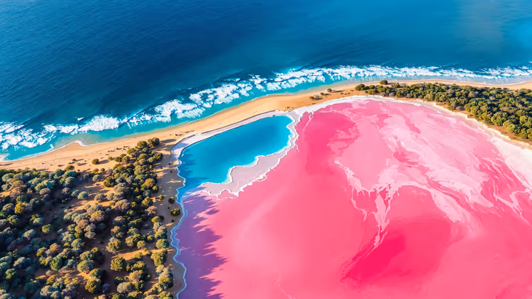 Luftbild-Illustration: leuchtend rosa Lake Hillier in Australien, durch einen Streifen Sand und Buschwerk vom tiefblauen Ozean getrennt