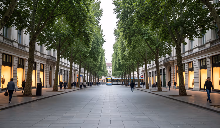 Von Bäumen gesäumter Boulevard mit Boutique-Schaufenstern