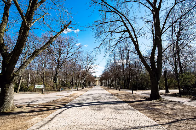 Laan in het Tiergartenpark met zicht op de Brandenburger Tor