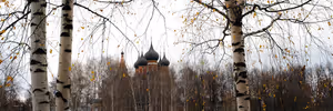 Dunkle Zwiebelkuppeln einer roten Backsteinkirche zwischen weißen Birkenstämmen mit den letzten gelben Herbstblättern