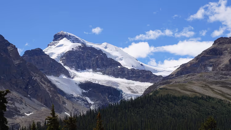 Schneebedeckter Gipfel und Gletscher über dunklen Felshängen und Nadelwald im Jasper-Nationalpark unter blauem Himmel