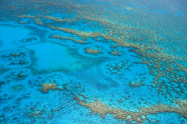 Luchtfoto van een koraalrif en een turquoise atollagune