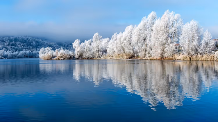 Winterlandschap met een meer en met rijp bedekte bomen