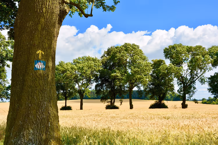 Camino de Santiago : quatre itinéraires, hébergement et bagages pour la randonnée