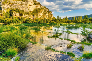 Flacher klarer Fluss zwischen grünem Schilf und Gras unter einer Kalksteinwand an einem sonnigen Sommertag in Kroatien