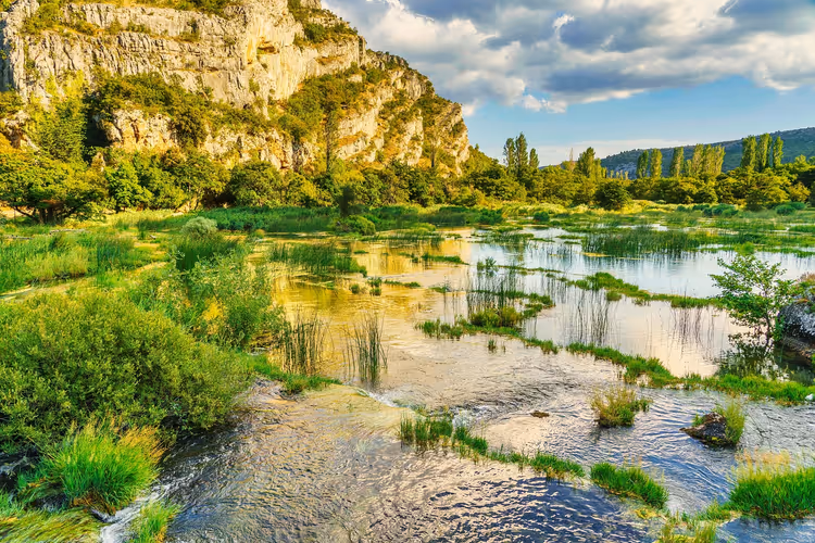 Flacher klarer Fluss zwischen grünem Schilf und Gras unter einer Kalksteinwand an einem sonnigen Sommertag in Kroatien