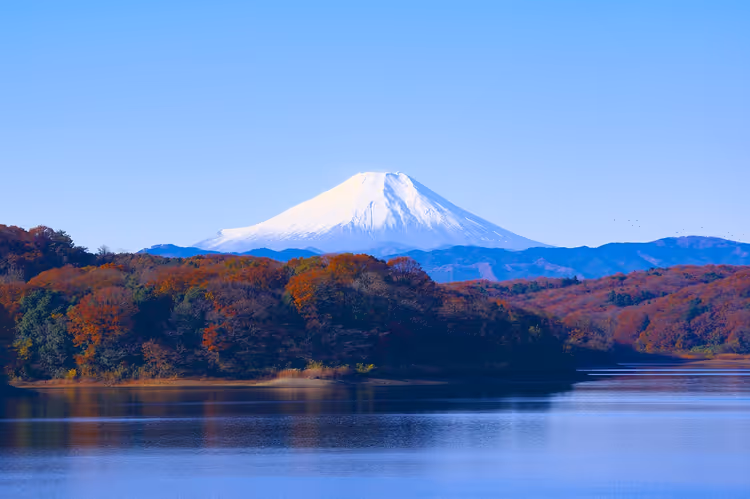 Fujisan, See und Herbstlaub