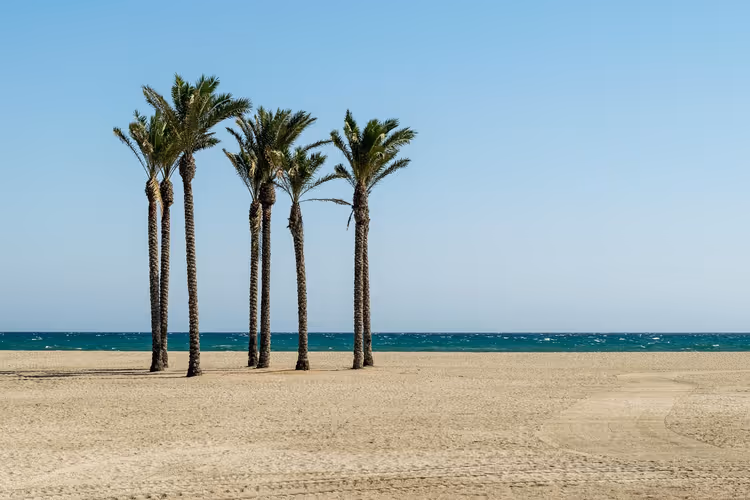 Turkije of Tunesië: wat kies je voor een strandvakantie in 2026