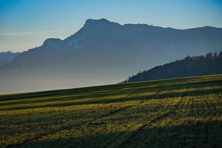 Grünes Feld am Hang mit langen Schattenstreifen unter einem dunstig blauen Bergkamm mit Schneefeldern