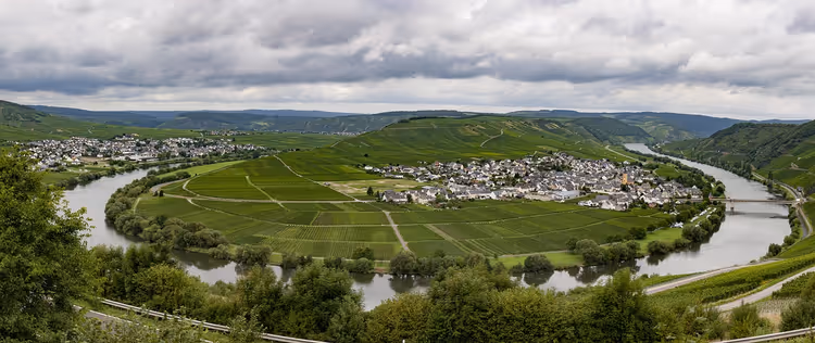 Moselschleife mit Weinbergen und einem Dorf im Frühling