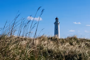 Danimarka adası Læsø: plajlar, atlar ve yosun çatılar