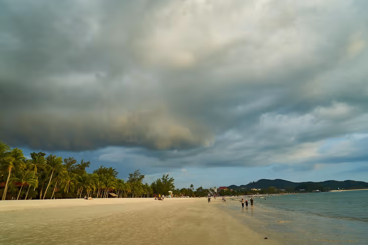 Zandstrand met palmbomen onder een bewolkte lucht