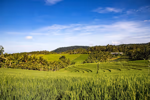 Wann ist die beste Reisezeit für Bali: Monat für Monat im Überblick und ein ehrlicher Blick auf die Regenzeit