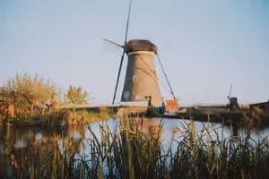 Holländische Windmühle an einem ruhigen Kanal zur goldenen Stunde, durch verschwommenes Schilf im Vordergrund gesehen