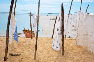 Madagaskar'ın 14 tatil beldesi: plajlar, resifler ve balina sezonu