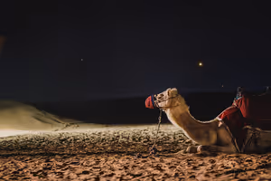 Dubai-Wetter im Oktober: Hitze, Regen und warmes Meer