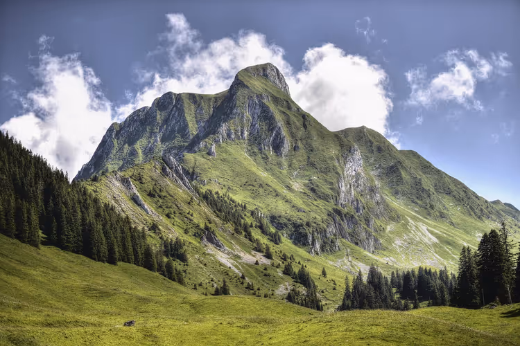Felsiger grüner Berggipfel über Almwiesen und dunklem Fichtenwald in der Schweiz unter ziehenden Wolken