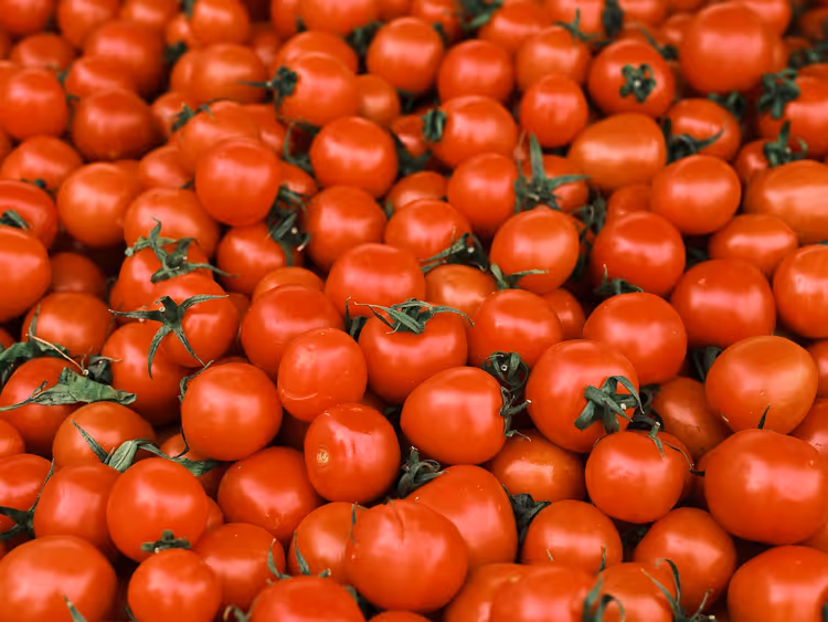 Berg reifer roter Tomaten mit grünen Stielen, der das ganze Bild füllt, wie an einem Marktstand