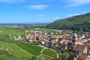 Elsässisches Dorf mit Kirchturm und grüner Kuppel, umgeben von Rebzeilen und einem bewaldeten Hügel unter blauem Himmel