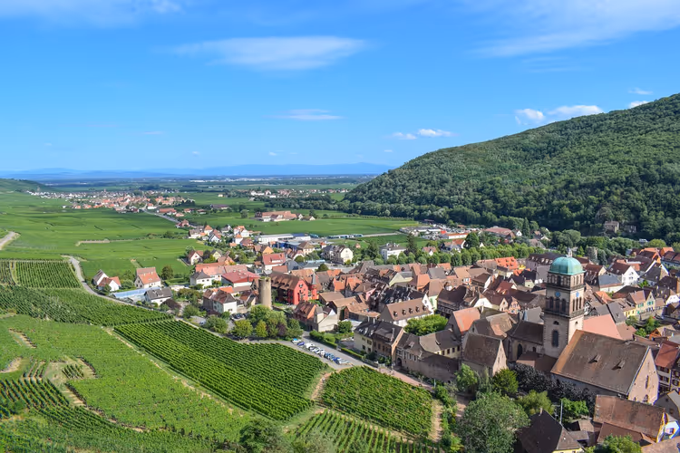 Elsässisches Dorf mit Kirchturm und grüner Kuppel, umgeben von Rebzeilen und einem bewaldeten Hügel unter blauem Himmel
