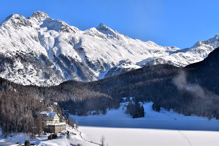 Hesteløp på isen i St. Moritz: datoer, billetter og hvordan du kommer dit