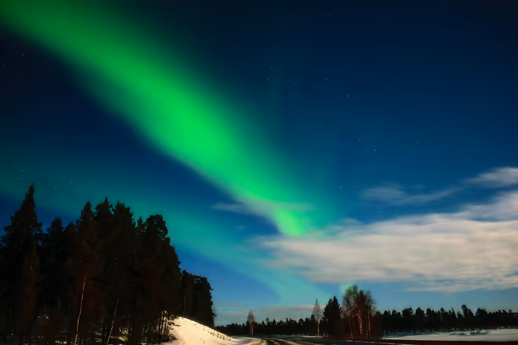 Grüne Polarlichter spannen sich als Bogen über den dunkelblauen Nachthimmel über verschneiter Straße und Kiefernwald in Finnland