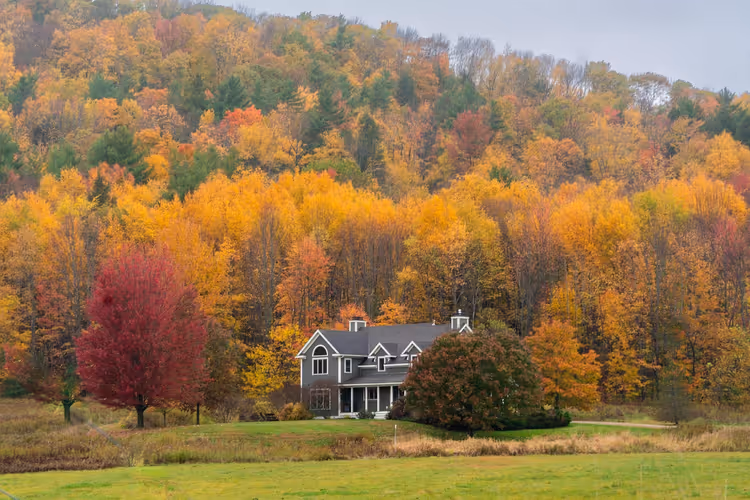 Vermont'ta sonbahar: yapraklar arasında tepelerde bir ev