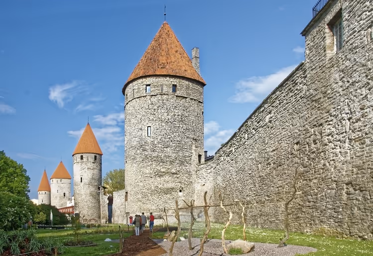 Mittelalterliche Stadtmauer von Tallinn aus Stein mit runden Türmen und roten Kegeldächern neben einer grünen Wiese
