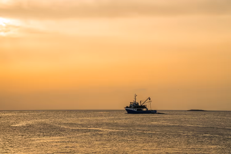 Havfiske: sesong, utstyr og hvordan du finner en plass med fisk