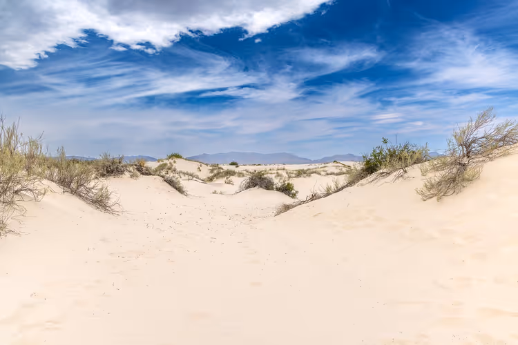 New Mexico'da White Sands: giriş, saatler ve kumullar için en iyi sezon