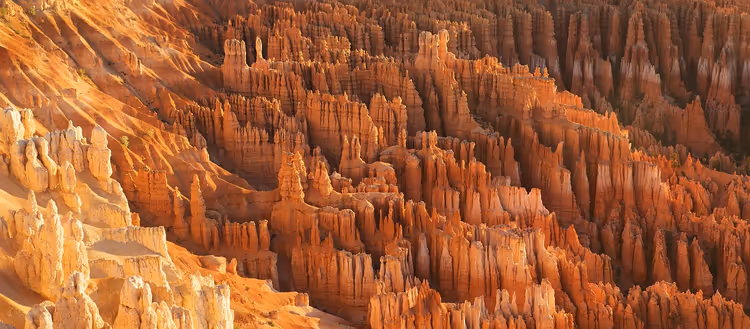 Dichtes Feld aus orangefarbenen und roten Felsnadeln und erodierten Zinnen an einem Canyonhang in warmem Sonnenlicht