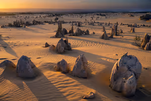 Kalksteinsäulen ragen bei Sonnenuntergang aus dem geriffelten goldenen Sand der Pinnacles-Wüste und werfen lange Schatten