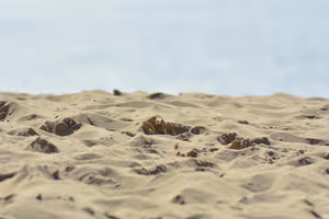 Nahaufnahme vom Wind geformter Sandrippen und kleiner Mulden auf einer Düne, im Hintergrund unscharf das helle Meer