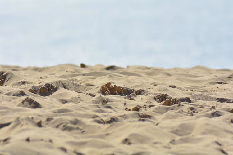 Sable Island: zo kom je bij het kerkhof van de Atlantische Oceaan en zie je wilde paarden