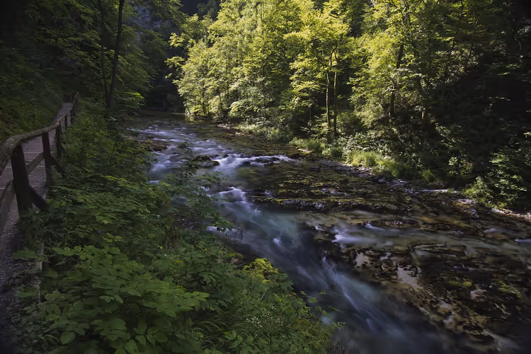 Slovenya'da Soča: Bovec'te rafting, vadinin şelaleleri ve balıkçılık
