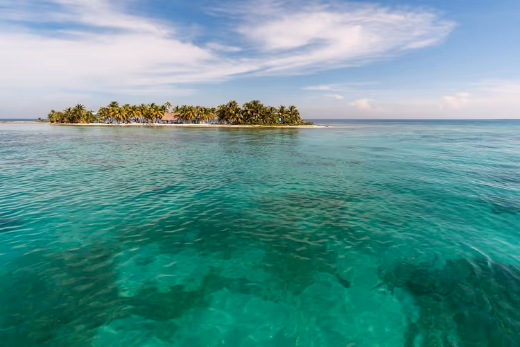 Tropisch eiland met palmbomen en turquoise water