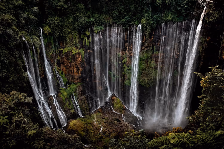 Flerstråls foss i jungelen på Java
