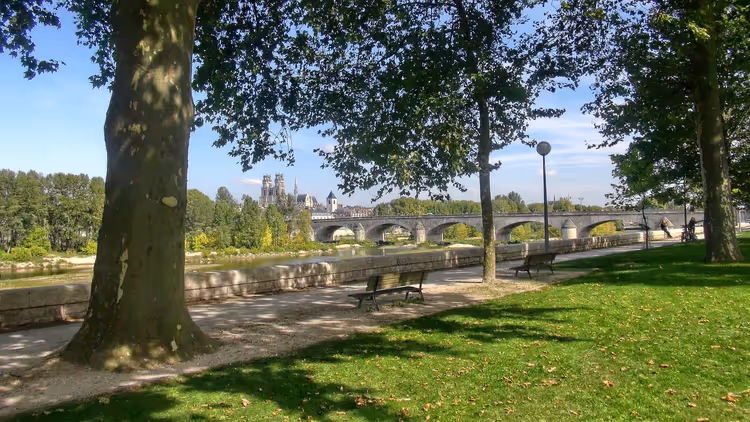 Schattige Uferpromenade mit Bänken und hohen Bäumen, am anderen Ufer der Loire eine steinerne Bogenbrücke und Kathedraltürme