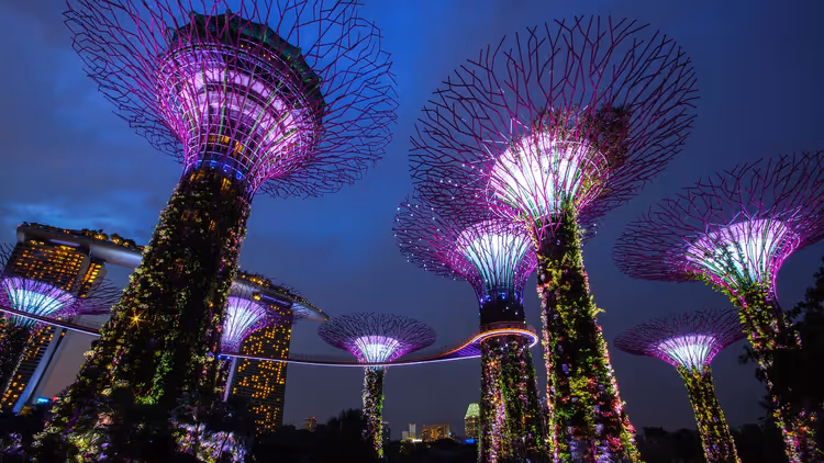 Leuchtende Supertrees der Gardens by the Bay bei Nacht in Singapur