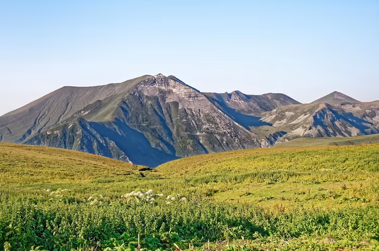 Grüne Alpenwiese mit weißen Wildblumen unterhalb kahler Felsgrate in Georgien bei klarem Himmel