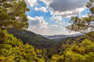 Troodos a Cipro: 4 villaggi, monastero di Kykkos e cascata Caledonia