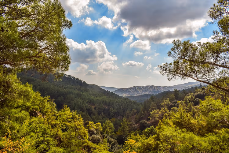 Kiefernbewachsene Hänge und ein tiefgrünes Tal im Troodos-Gebirge auf Zypern unter blauem Himmel mit Wolken