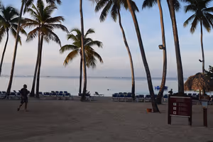 Hohe Palmen und Reihen von Sonnenliegen an einem Sandstrand am ruhigen Meer in der Abenddämmerung in der Dominikanischen Republik