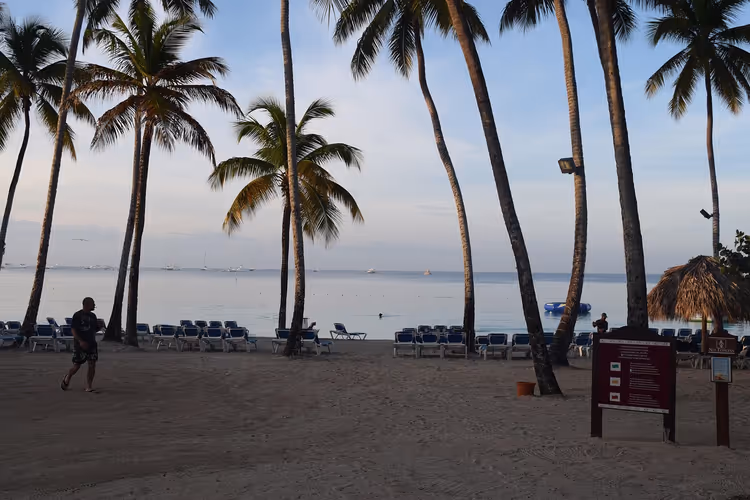 Hohe Palmen und Reihen von Sonnenliegen an einem Sandstrand am ruhigen Meer in der Abenddämmerung in der Dominikanischen Republik