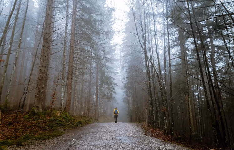 Appalachian Trail i USA: hvor lang tid det tar, tillatelser og forberedelser