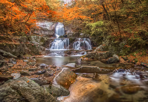 New York eyaletindeki Eternal Flame Falls: grottodaki aleve nasıl ulaşabilirsiniz