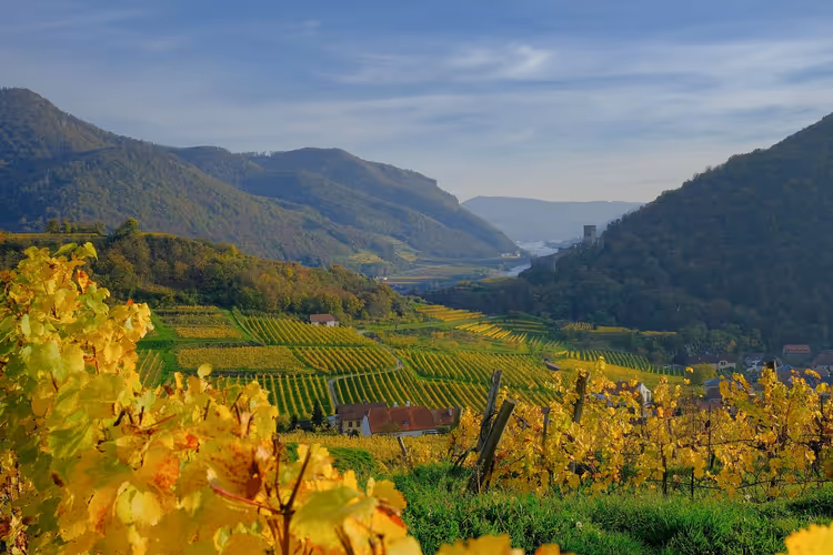 Burgund im Herbst: Heißluftballonfahrt, Kochkurs und Kastanienfest