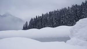 Tiefe Schneewehen vor einem verschneiten Tannenwald, dahinter verschwindet ein Berg im grauen Nebel